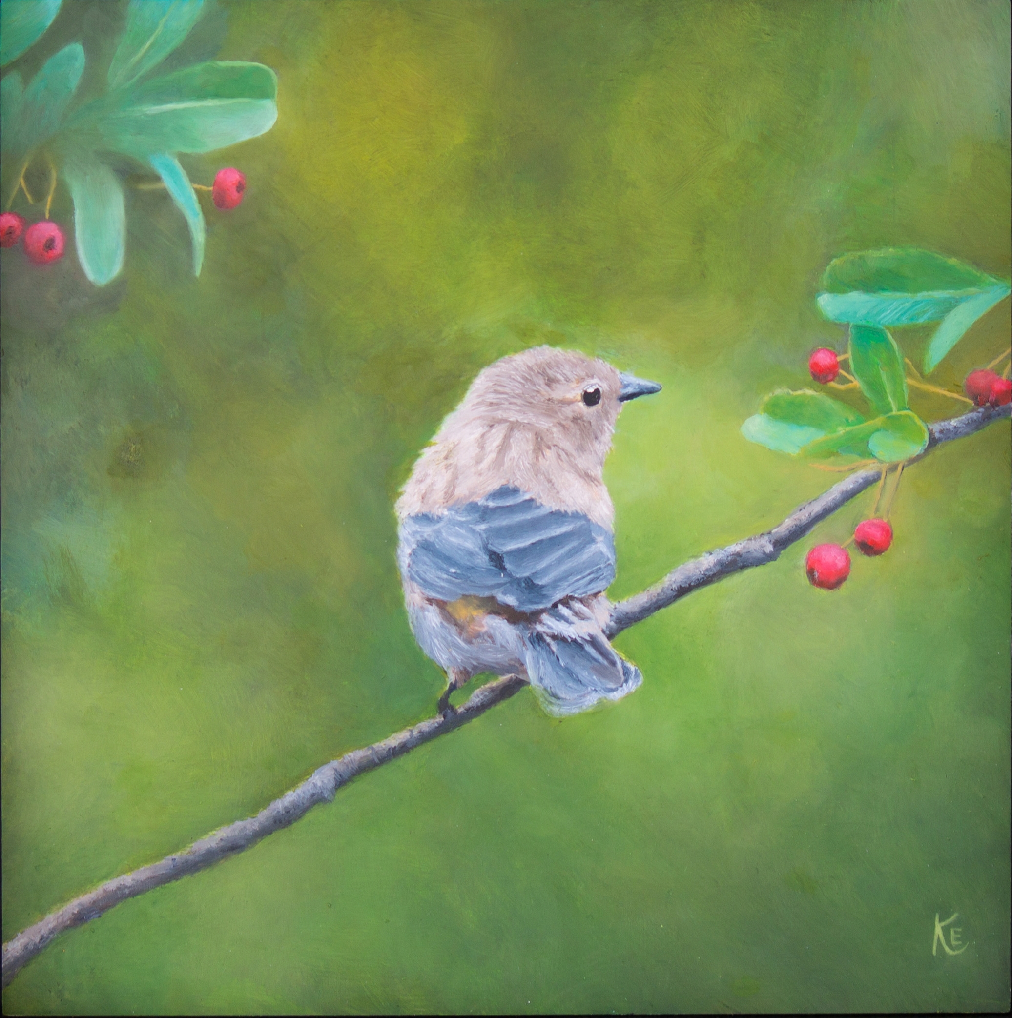Krister Eide Myrtle Warbler Mar 2025 protected intensity LOW V2