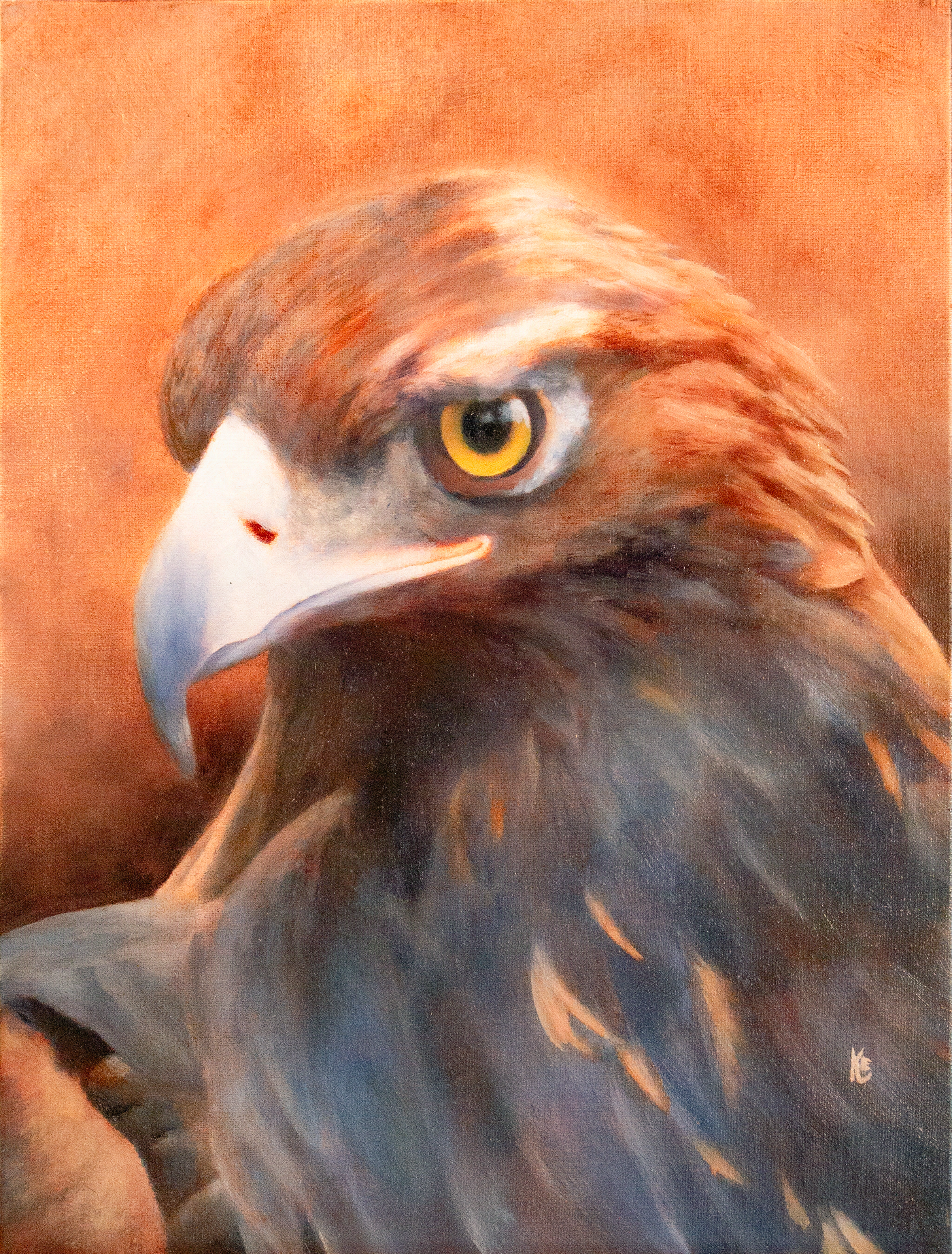 golden eagle aug 28 26 protected intensity DEFAULT V2